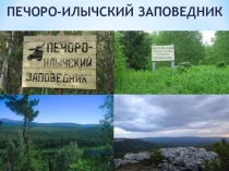 Презентация по ознакомлению с окружающим миром на тему Печоро-Илычский заповедник