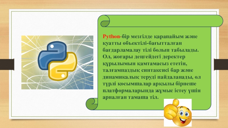 Python программалау тілі