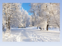 Презентация к празднику Именинники зимы (1 класс)