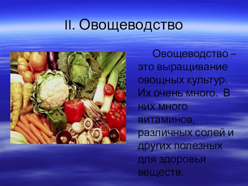 Растениеводство в нашем крае 4 класс презентация