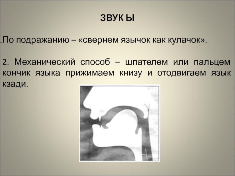 Постановка гласных. Артикуляция звука ы. Постановка звука ы. Положение языка при звуке ы. Артикуляция звука ы для детей.