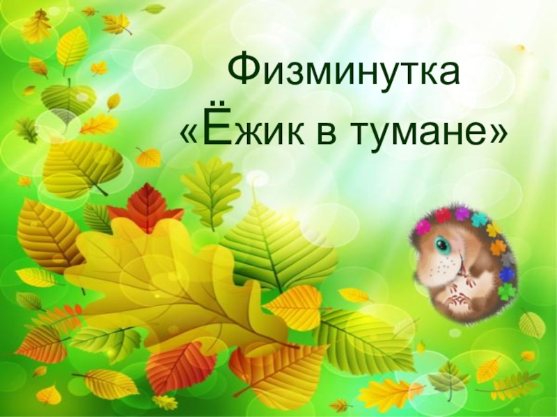 Физминутка Ежик в тумане
