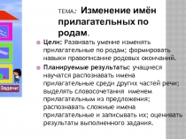 Презентация по русскому языку на тему : Изменение имён прилагательных по родам.