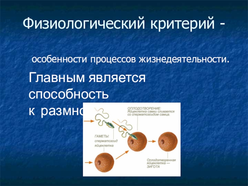 Физиологический критерий. Особенности физиологического критерия. Физиологический критерий сосны. Сосна обыкновенная физиологический критерий. Физиологический критерий одуванчика.