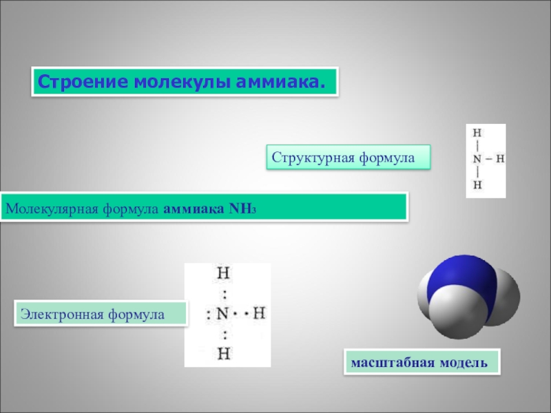 Формула молекулы аммиака. Электронная формула молекулы аммиака nh3. Молекулярная формула строения молекулы аммиака. Электронные и структурные формулы молекул nh3. Молекула аммиака молекулярная электронная и структурная формулы.