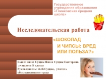 Презентация исследовательской работы по трудовому обучению Шоколад и чипсы: вред и польза