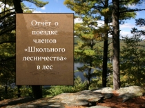 Отчет Школьного лесничества о поездке на гипновое болото.