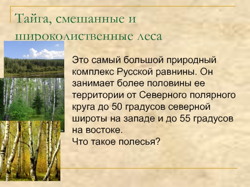 Описание природной зоны смешанные и широколиственные леса по плану 7 класс