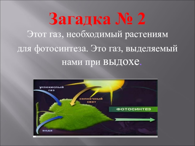 Газ выделяемый. Фотосинтез ГАЗ. ГАЗ необходимый для фотосинтеза. ГАЗ выделяющийся растениями при фотосинтезе. ГАЗ необходимый для растений.