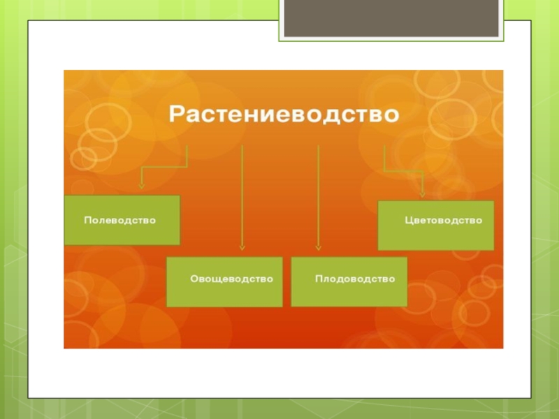 Окружающий мир 4 класс растениеводство в нашем крае презентация