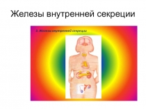 Презентация по биологии Железы внутренней секреции 8 класс