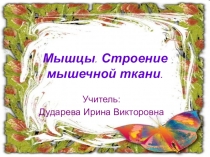 Презентация по биологии на тему Мышцы. Виды мышц. (8 класс)