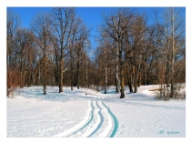 Презентация. Знакомство с цифрой 1