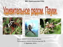 Презентация  Удивительное рядом .Пауки