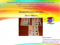 Презентация Дидактическое пособие Лото Цвет