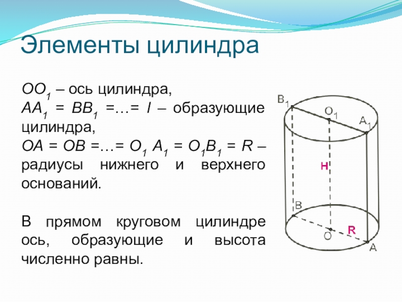 Основание образующее цилиндра