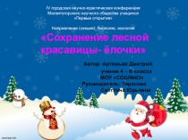 Сохранение лесной красавицы -ёлочки