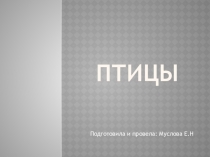 Урок Презентация по ОО Познавательно-исследовательскому развитию