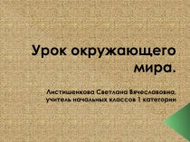 Презентация по окружающему миру Великая Отечественная война и Великая Победа