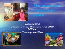 Проектна діяльність моїх учнів.