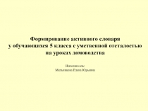 Презентация к отчету по программе самообразования