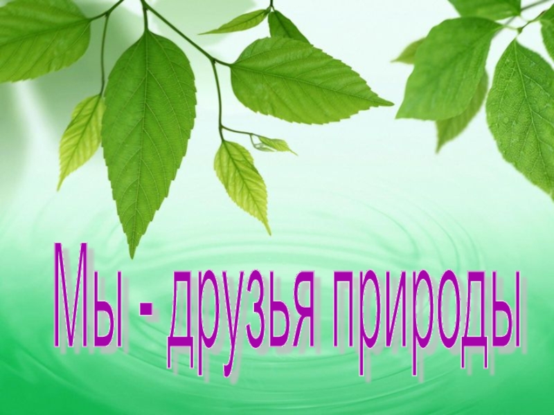 Презентация природа 7 класс. Мы друзья природы. Внеклассных мероприятий природа. Слайды мы друзья природы. Викторина на тему берегите природу.