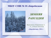 Зимняя рапсодия