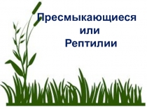 Презентация по биологии Пресмыкающиеся