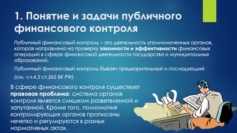Реферат: Система контроля деятельности хозяйствующего субъекта в России