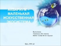 Презентация к проекту Аквариум-маленькая экосистема