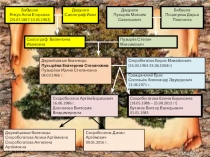 Презентация  Моя родсловная
