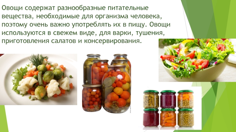 Овощи содержат разнообразные питательные вещества, необходимые для организма человека, поэтому очень важно употреблять их в пищу. Овощи
