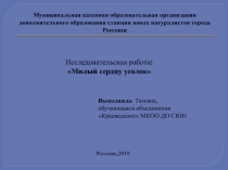 Презентация исследовательского проекта естественнонаучной направленности