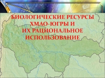 Презентация по географии ХМАО-Югры Биологические ресурсы ХМАО-Югры и их рациональное использование