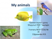 Презентация по теме My Animals