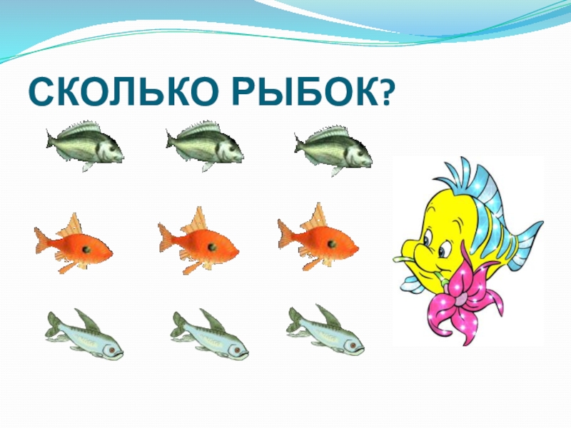 Сколько рыб. Рыба для детей. Сколько рыбок. Число рыб в природе.