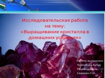 Презентация Выращивание кристаллов в домашних условиях