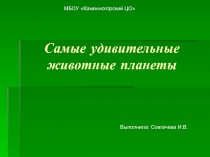 Презентация по биологии Самые удивительные животные (7 класс)