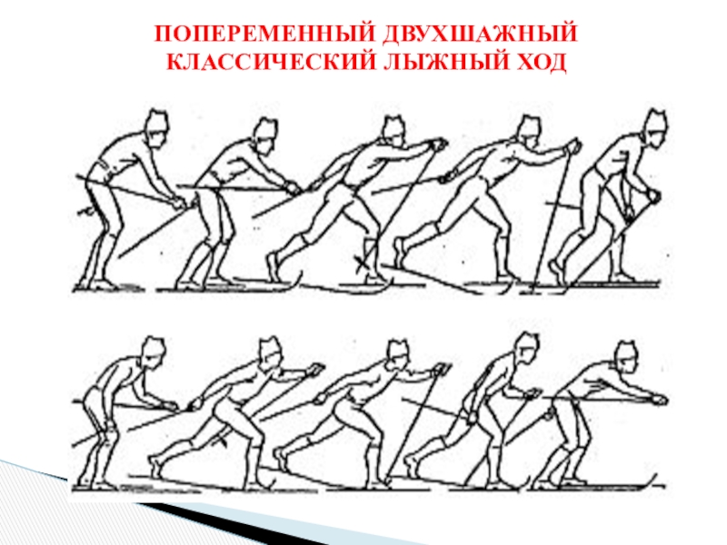 Виды ходов. Попеременный бесшажный ход на лыжах. Классический двухшажный ход на лыжах. Виды классических лыжных ходов. Попеременный классический лыжный ход.