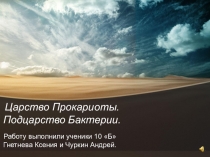 Презентация по теме Бактерии