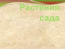 Презентация по окружающему миру на тему Растения сада(1 класс)