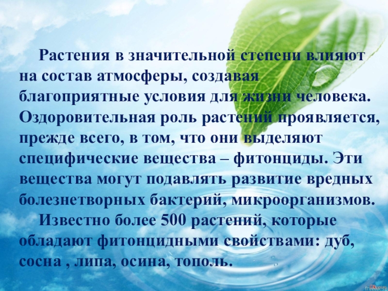 Какова роль в оздоровлении окружающей среды. Оздоровительная роль растений. Благоприятные условия для растений. Вода источник жизни и оздоровления. Благоприятные условия для жизни растений.