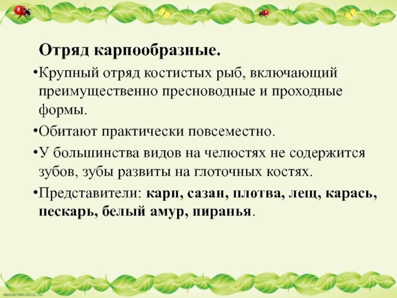 Отряд карпообразные.Крупный отряд костистых рыб, включающий преимущественно пресноводные и проходные формы. Обитают практически повсеместно. У большинства видов