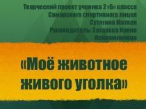 Презентация-проект по окружающему миру на тему