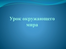 Полезные ископаемые