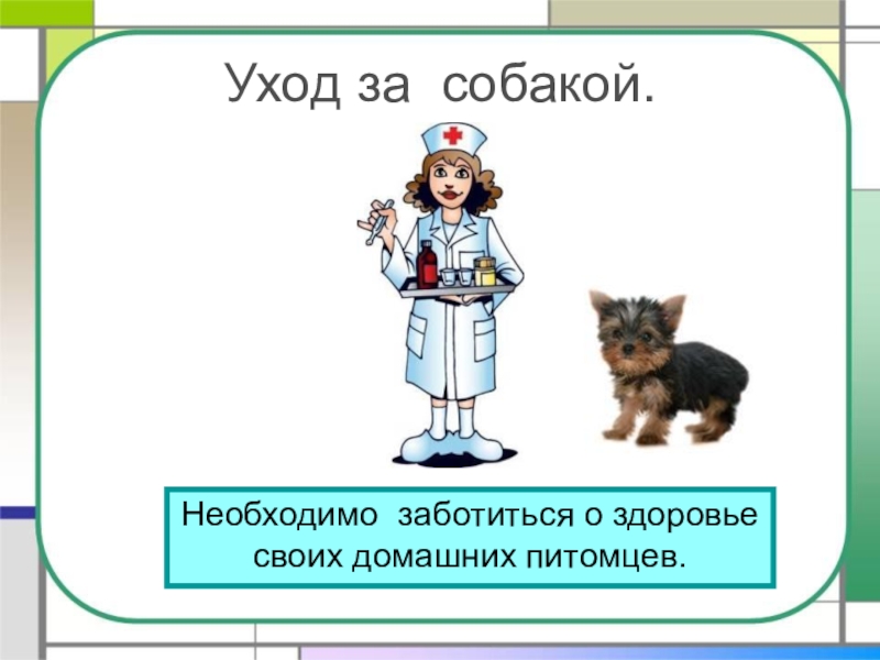 Как ухаживать за собакой для детей презентация