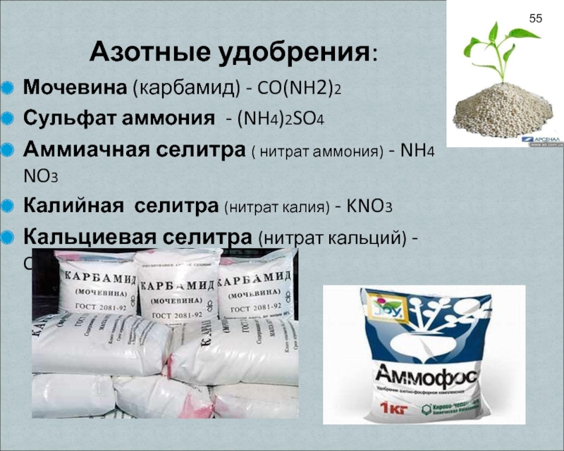 Азотные удобрения:Мочевина (карбамид) - CO(NH2)2Сульфат аммония - (NH4)2SO4Аммиачная селитра (