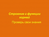 Презентация к уроку на тему Строение и функции корней