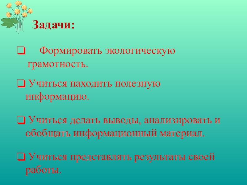 Основы экологической грамотности презентация