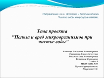 Презентация Польза и вред микроорганизмов при чистке воды (творческая работа 7 А)